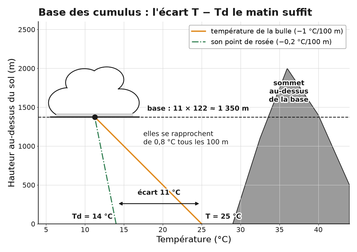 Graphique température-hauteur : la droite de la bulle sèche part de 25 °C et celle du point de rosée de 14 °C ; elles se rejoignent vers 1 375 m, la base du cumulus.